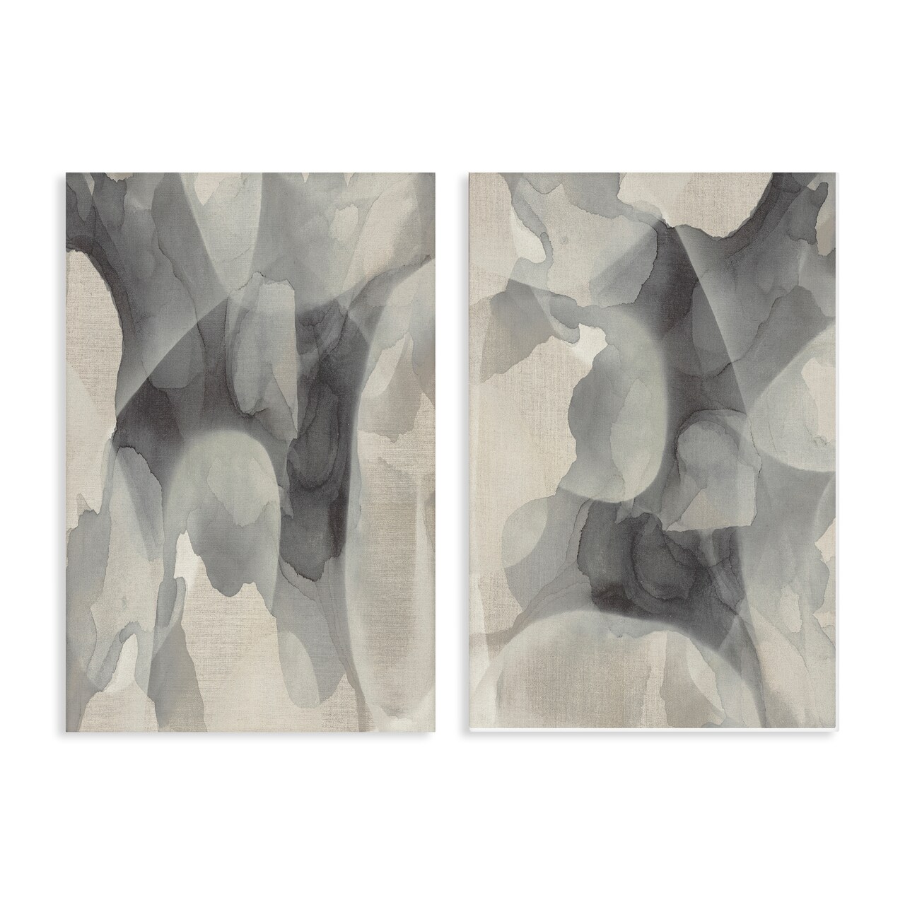 Stupell Industries Mottled Fluid Monochrome 2pc Canvas Set, design by Kippi Leonard